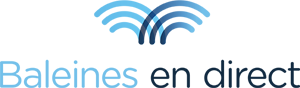 Baleines en direct
