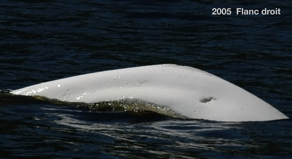 Athéna (1973-2018)